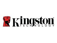 KINGSTON 256GB Canvas React Plus SDXC UHS-II 280R/150W U3 V60 for Full HD/4K