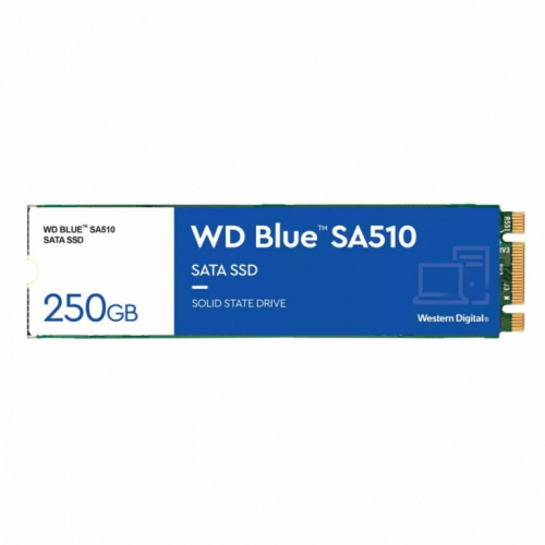 Western Digital SSD drive Blue 250GB SA510 M.2 2280 WDS250G3B0B