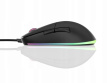 Endgame Gear XM1 RGB mouse Gaming Right-hand USB Type-A Optical 16000 DPI WLONONWCR9416