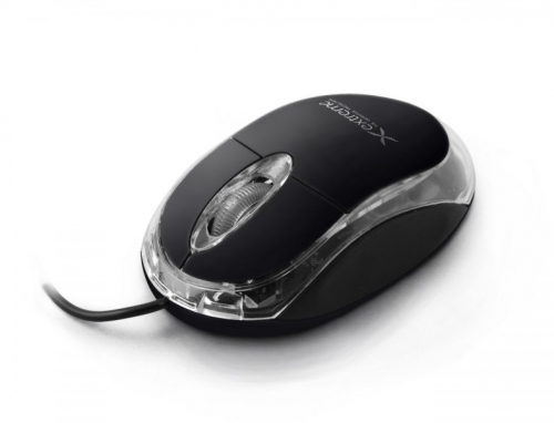 TITANUM XM102K mouse USB Type-A Optical 1000 DPI Ambidextrous