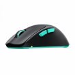 CHERRY XTRFY M64 Wireless. Black Wireless Maus