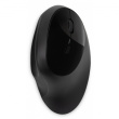 Kensington Pro Fit Ergo Maus kabellos. schwarz