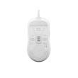 Fury Gaming Mouse | Tanto T4 | Wired | USB | White
