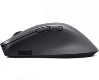 Lenovo Professional - Mouse - ergonomic - blue optical - 6 buttons - wireless - Bluetooth 5.1 - storm grey 