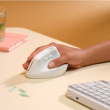 LOGITECH Lift for Mac Vertical mouse ergonomic optical 6 buttons wireless Bluetooth Bolt USB receiver off-white 342861