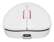 GENESIS Zircon XIII mouse Gaming Ambidextrous RF Wireless + USB Type-C Optical 26000 DPI