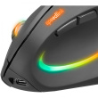 Speedlink Maus PIAVO PRO. Illuminated Rechargeable Vertical retail