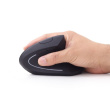 Gembird MUSW-ERGO-01 mouse Right-hand RF Wireless Optical 1600 DPI