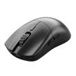 Glorious Gaming Glorious Series 2 PRO 4K/8K Hz Wireless Mouse - Black