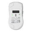 Glorious Gaming Glorious Series 2 PRO 4K/8K Hz Wireless Mouse - White