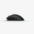 Glorious Gaming Glorious Model D 2 PRO Wireless - 4K/8K Polling - Black