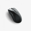 Glorious Gaming Glorious Model D 2 PRO Wireless - 4K/8K Polling - Black