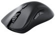 Glorious Gaming Glorious Model D 2 PRO Wireless - 4K/8K Polling - Black
