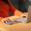 Logitech M171 Mouse right and left-handed optical 3 buttons wireless 2.4 GHz USB wireless receiver blue/grey 340278
