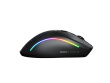 Glorious Gaming Glorious Model D 2 Wireless - Matte Black