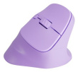 NATEC Crake 2 mouse Universal Right-hand RF Wireless + Bluetooth Optical 2400 DPI WLONONWCRMXRJ
