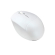 Asus Fragrance MD101 | Mouse | 2.4 GHz, Bluetooth | Iridescent Valge