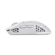 Trust GXT 929 Helox mouse Gaming Right-hand RF Wireless Optical 4800 DPI WLONONWCRMW12