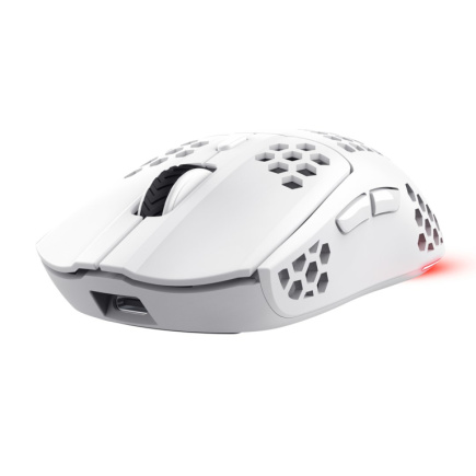 Trust GXT 929 Helox mouse Gaming Right-hand RF Wireless Optical 4800 DPI WLONONWCRMW12