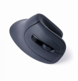 Gembird MUSW-ERGO-03 mouse Home Right-hand RF Wireless Optical 1600 DPI