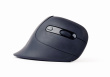 Gembird MUSW-ERGO-03 mouse Home Right-hand RF Wireless Optical 1600 DPI