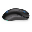 ENDORFY Gem Plus Wireless (schwarz)