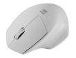 NATEC WIRELESS MOUSE SISKIN 2 BT 5.0 + 2.4GHZ
