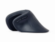 Gembird MUSW-ERGO-03 mouse Home Right-hand RF Wireless Optical 1600 DPI