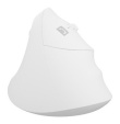 NATEC Crake 2 mouse Universal Right-hand RF Wireless + Bluetooth Optical 2400 DPI PERNATMYS0150