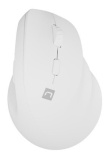 NATEC Crake 2 mouse Universal Right-hand RF Wireless + Bluetooth Optical 2400 DPI PERNATMYS0150