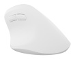 NATEC Crake 2 mouse Universal Right-hand RF Wireless + Bluetooth Optical 2400 DPI PERNATMYS0150