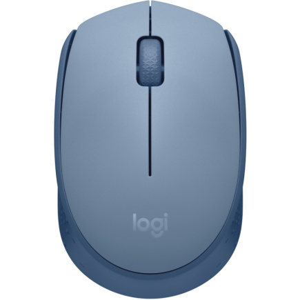 Logitech M171 Mouse right and left-handed optical 3 buttons wireless 2.4 GHz USB wireless receiver blue/grey