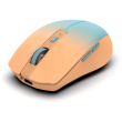 INCA Maus IWM-511RT 1600 DPI,Wrls & BT,6D Taste, Orange