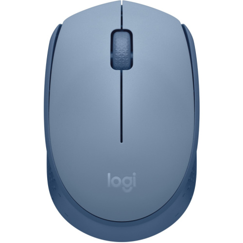 Logitech M171 Mouse right and left-handed optical 3 buttons wireless 2.4 GHz USB wireless receiver blue/grey