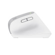 Trust Bayo+ mouse Office Right-hand RF Wireless + Bluetooth Optical 2400 DPI