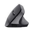 Trust Bayo+ mouse Office Right-hand RF Wireless + Bluetooth Optical 2400 DPI PERTRUMYS0147