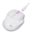 Sharkoon OfficePal M25W mouse Gaming Right-hand RF Wireless + USB Type-C Optical 4000 DPI