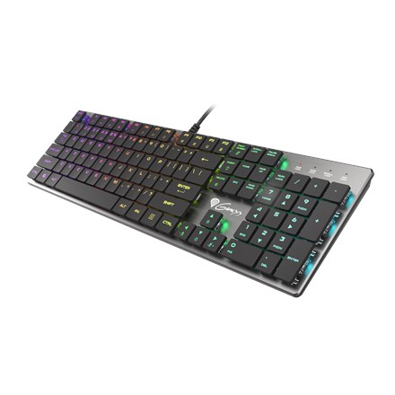 GENESIS Thor 420 RGB keyboard Gaming USB QWERTY US International Silver