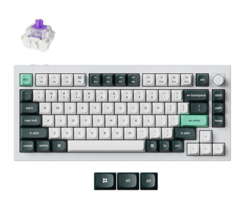BOARD WRL Q1 HE RGB/SHELL Valge Q1H-P1 KEYCHRON