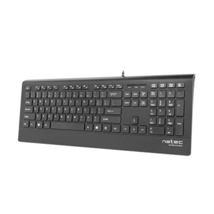 Natec Keyboard, Barracuda, US Layout, Slim | Natec | Keyboard | Barracuda | Standard | Wired | US | Must | 529 g