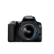 Canon | Megapixel 24.1 MP | Image stabilizer | ISO sensitivity (max) 256000 | Wi-Fi | Video recording | Manual | CMOS | Black