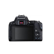Canon | Megapixel 24.1 MP | Image stabilizer | ISO sensitivity (max) 256000 | Wi-Fi | Video recording | Manual | CMOS | Black