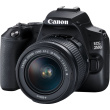 Canon EOS 250D + EF-S 18-55mm f/3.5-5.6 III SLR Camera Kit 24.1 MP CMOS 6000 x 4000 pixels Black