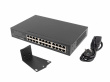 Lanberg Switch 24X 1GB Gigabit Ethernet rack RSGE-2