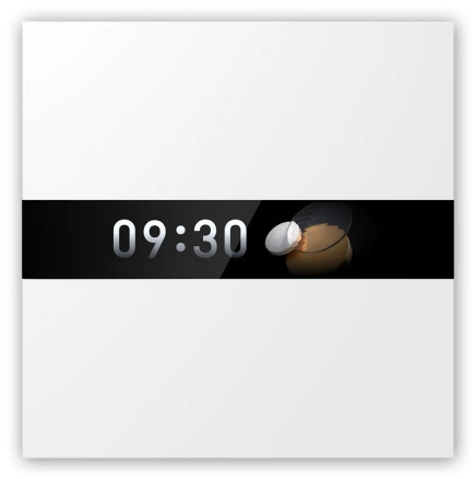 Aqara Display Switch V1