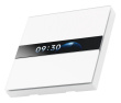 Aqara Display Switch V1