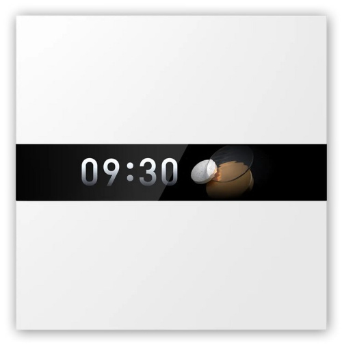 Aqara Display Switch V1