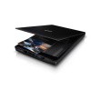 Epson | Photo and Document Scanner | Perfection V39II | Flatbed | Scanner