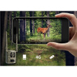Reolink | 4K 4G Cellular Trail Camera with Live Streaming | Talon Series S130 | Trail | 8 MP | 4mm/F1.6 | IP67 | H.265 | MicroSD Card, up to 256 GB