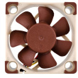 Noctua NF-A4x10 FLX - Gehäuselüfter - 40 mm